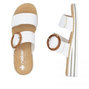 V0692-80 WIT