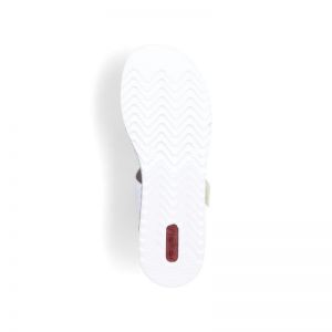 V0636-80 WIT