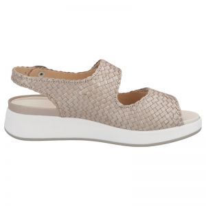 75034-40598 CHAMPAGNE