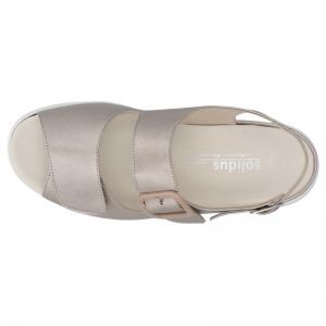 79104-40596 CHAMPAGNE