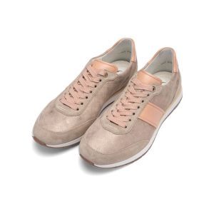 50904-08 SHELL/APRICOT