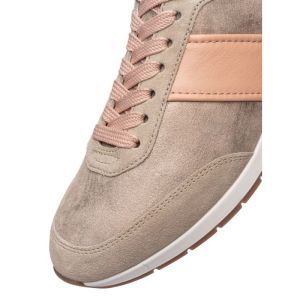50904-08 SHELL/APRICOT