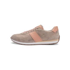 50904-08 SHELL/APRICOT