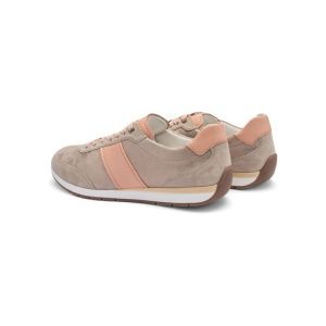 50904-08 SHELL/APRICOT