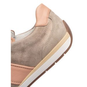 50904-08 SHELL/APRICOT