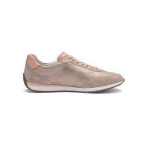 50904-08 SHELL/APRICOT