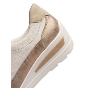 50601-09 SHELL/CREAM