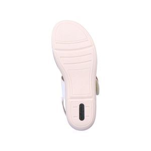 R6853-80 WIT