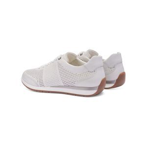 50908-04 WIT