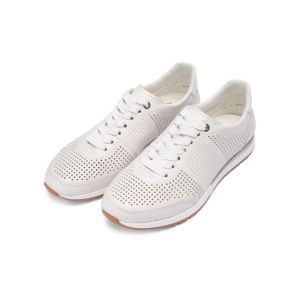 50908-04 WIT