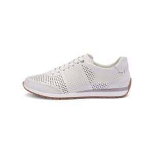 50908-04 WIT