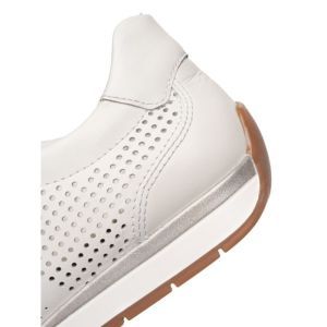 50908-04 WIT