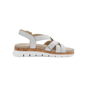 26508-04 WIT