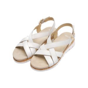 26508-04 WIT