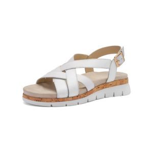 26508-04 WIT