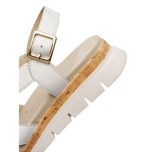 26508-04 WIT