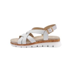 26508-04 WIT