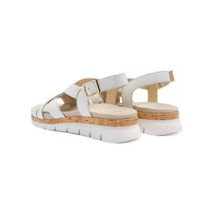 26508-04 WIT