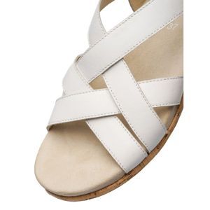 26508-04 WIT