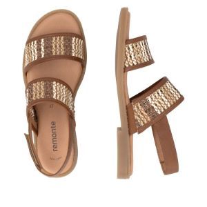 D3646-24 CAYENNE
