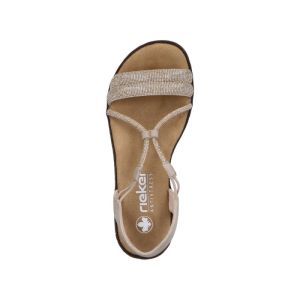 V3671-62 WIT/GOUD