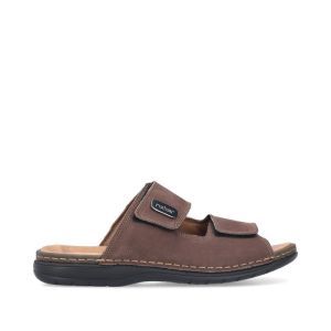 25590-25 BRUIN