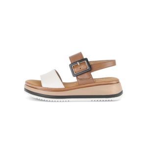 82.744.52 CREME/CAMEL