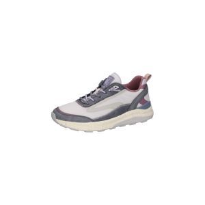 751002 102 270 PURPLE/BLUE/