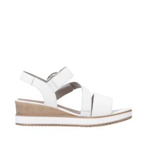 D6466-80 OFF WHITE