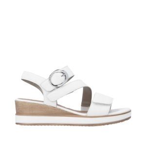 D6466-80 OFF WHITE