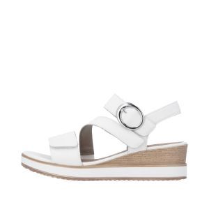 D6466-80 OFF WHITE