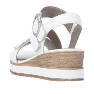 D6466-80 OFF WHITE