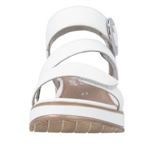 D6466-80 OFF WHITE