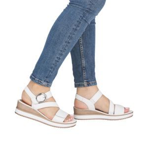 D6466-80 OFF WHITE