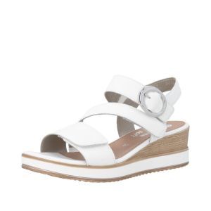 D6466-80 OFF WHITE