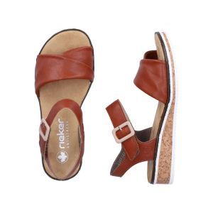 V3691-22 BRANDY