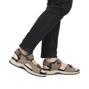 26951-25 TERRA