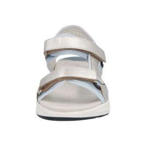 38047 40703 PONZA/ZILVER