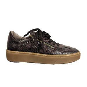 7100 V01 BORDO