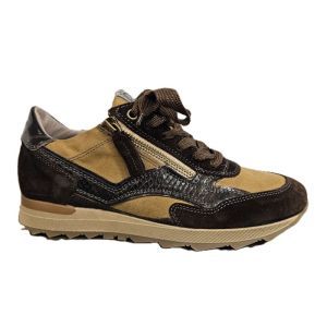 7140 V01 CACAO